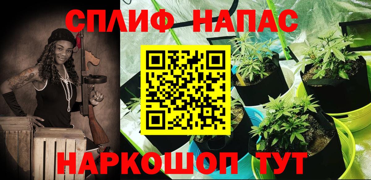Бошки марихуана OG Kush  Вход с VPN  Балашов  Канабис план  Марихуана Amnesia 